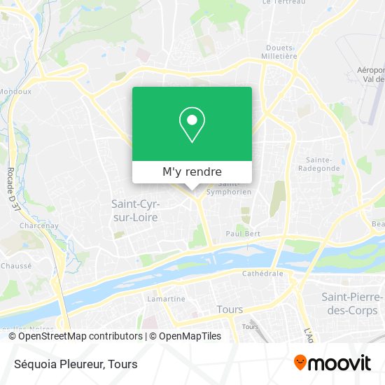 Séquoia Pleureur plan