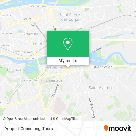 Youperf Consulting plan