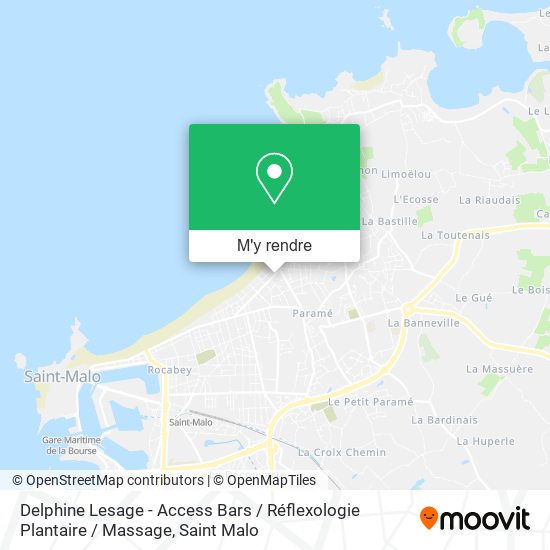 Delphine Lesage - Access Bars / Réflexologie Plantaire / Massage plan