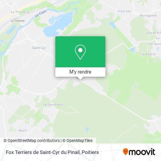 Fox Terriers de Saint-Cyr du Pinail plan