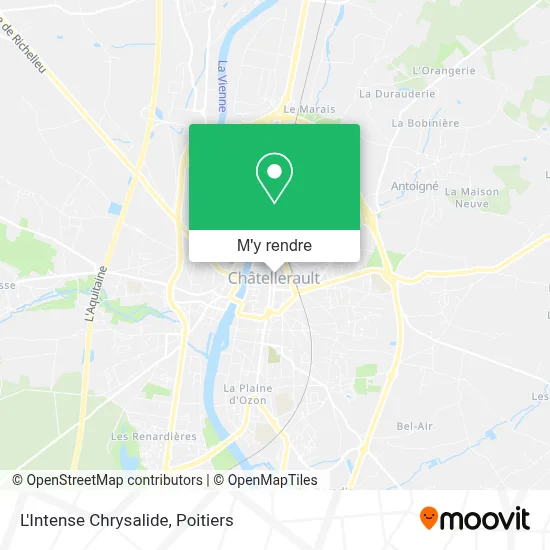 L'Intense Chrysalide plan