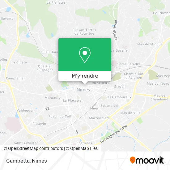 Gambetta plan