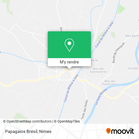 Papagaios Brésil plan