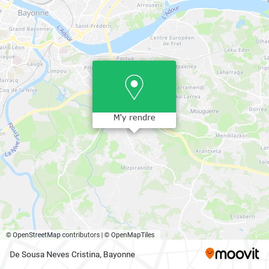 De Sousa Neves Cristina plan