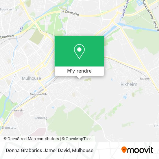 Donna Grabarics Jamel David plan
