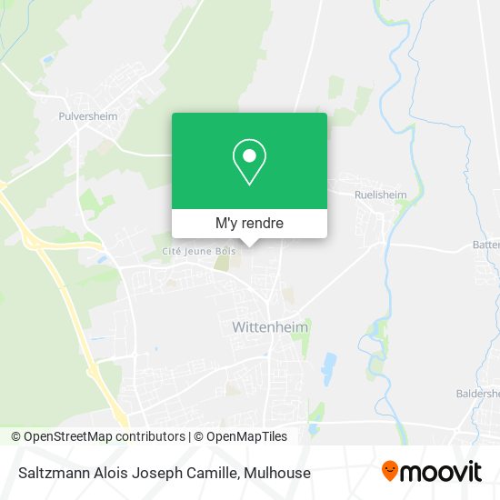Saltzmann Alois Joseph Camille plan