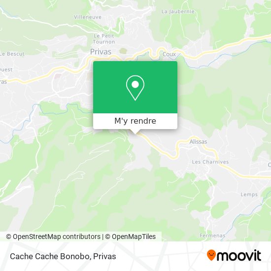 Cache Cache Bonobo plan