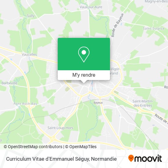 Curriculum Vitae d'Emmanuel Séguy plan