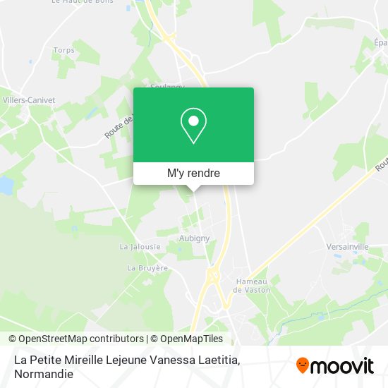 La Petite Mireille Lejeune Vanessa Laetitia plan