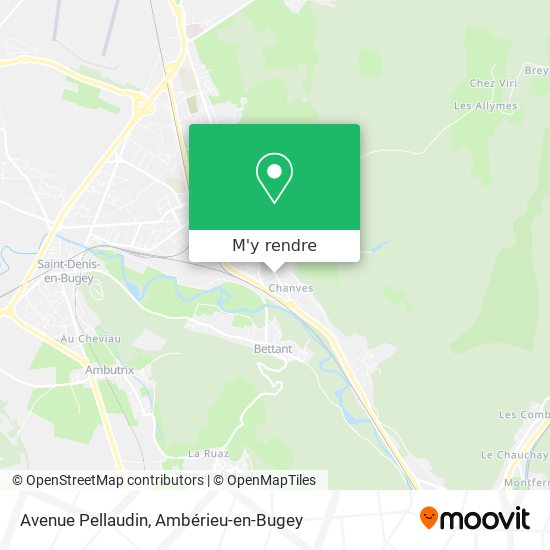 Avenue Pellaudin plan