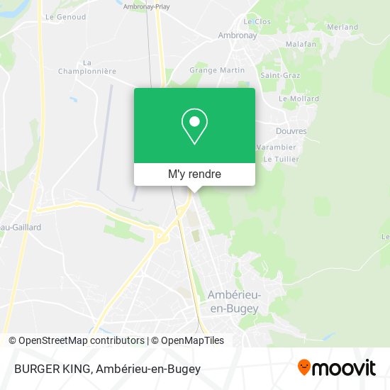 BURGER KING plan
