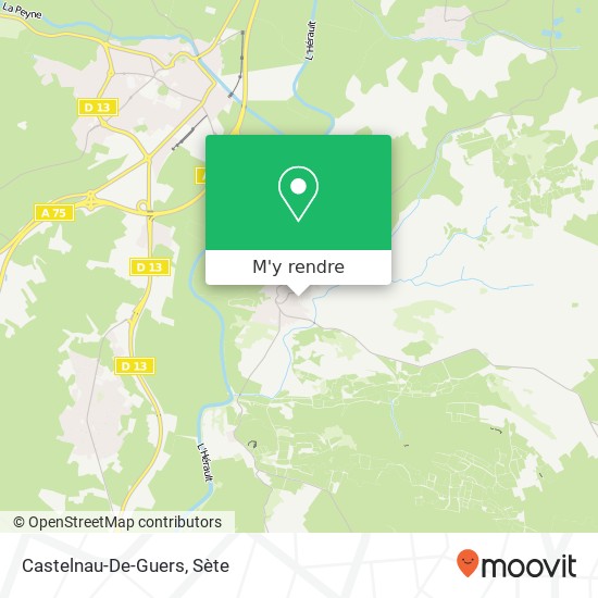 Castelnau-De-Guers plan