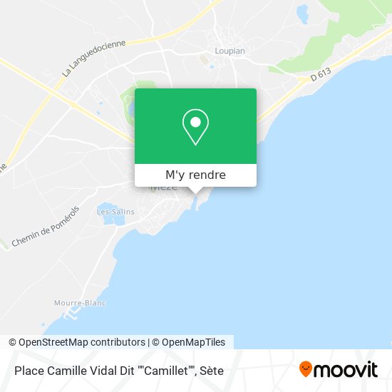 Place Camille Vidal Dit ""Camillet"" plan