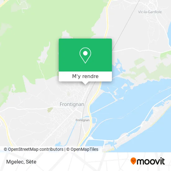 Mgelec plan