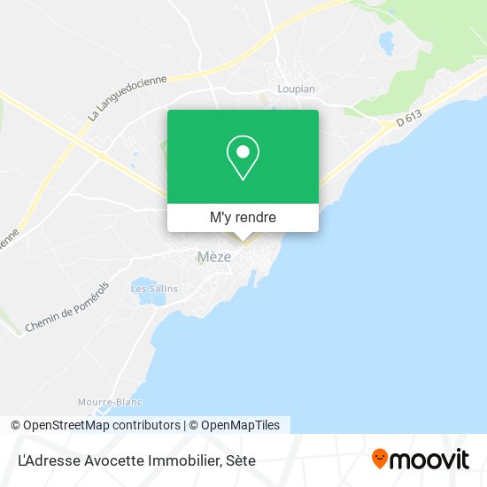 L'Adresse Avocette Immobilier plan