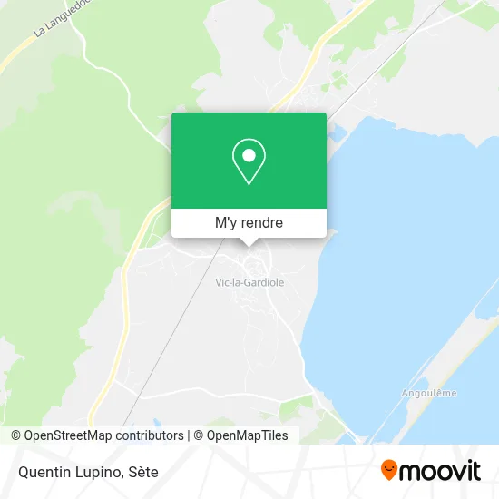 Quentin Lupino plan