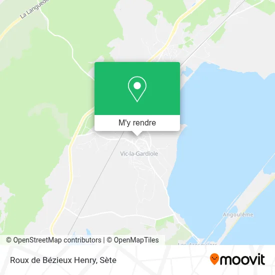 Roux de Bézieux Henry plan