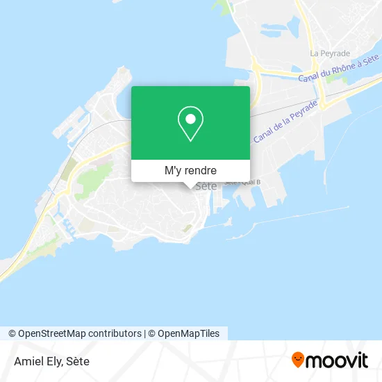 Amiel Ely plan