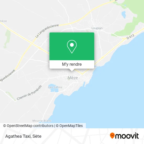 Agathea Taxi plan