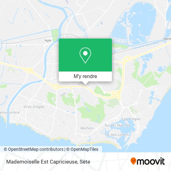 Mademoiselle Est Capricieuse plan