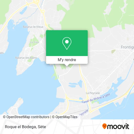 Roque el Bodega plan