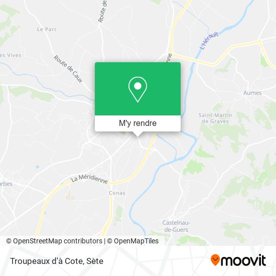 Troupeaux d'à Cote plan