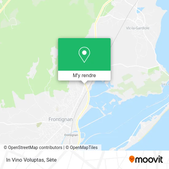 In Vino Voluptas plan