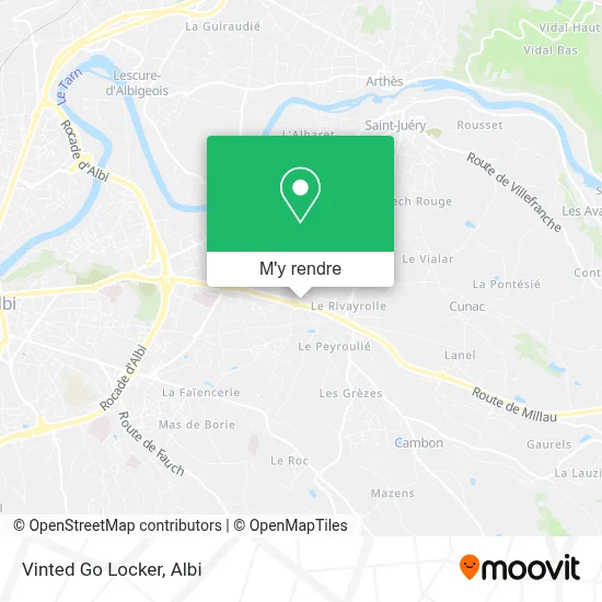 Vinted Go Locker plan