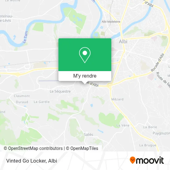 Vinted Go Locker plan