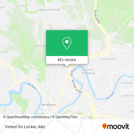 Vinted Go Locker plan