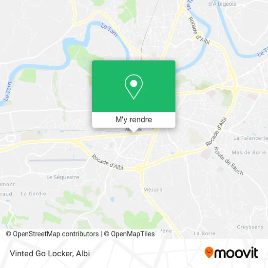 Vinted Go Locker plan