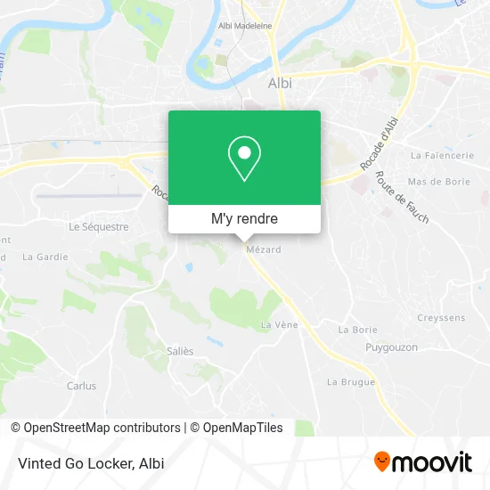 Vinted Go Locker plan