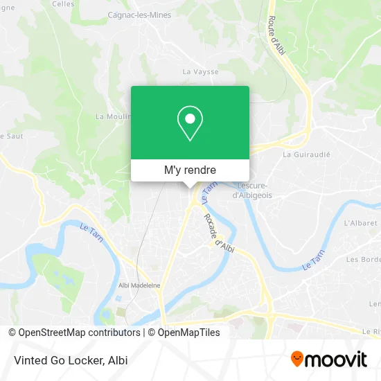 Vinted Go Locker plan