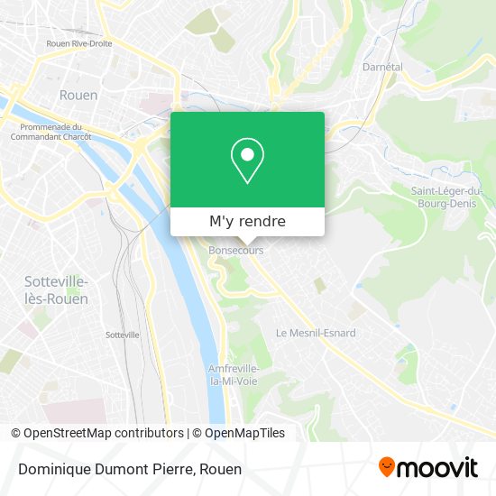 Dominique Dumont Pierre plan