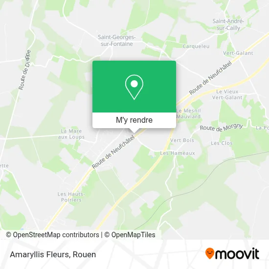 Amaryllis Fleurs plan