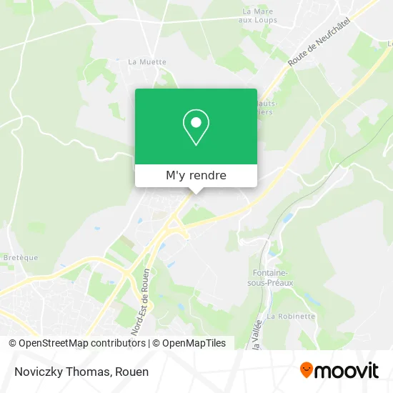 Noviczky Thomas plan