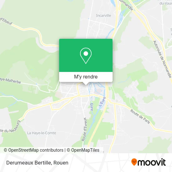 Derumeaux Bertille plan