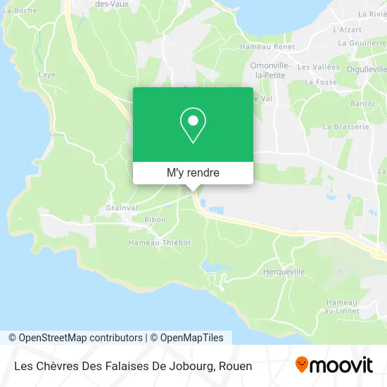 Les Chèvres Des Falaises De Jobourg plan