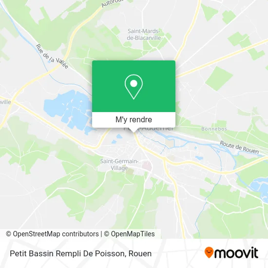 Petit Bassin Rempli De Poisson plan