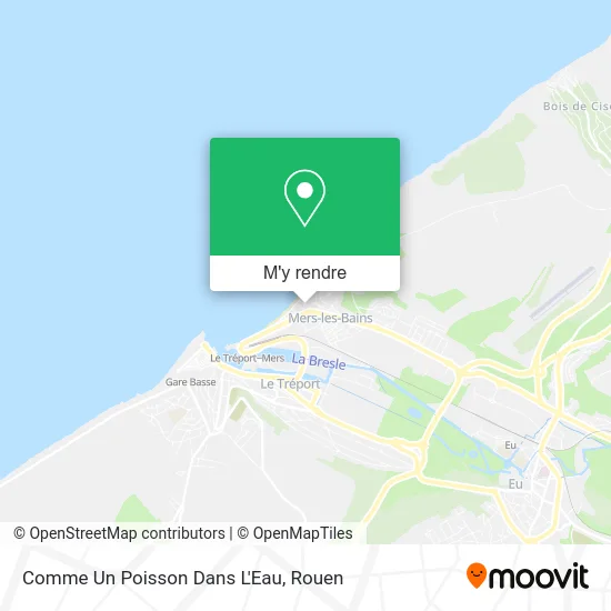 Comme Un Poisson Dans L'Eau plan