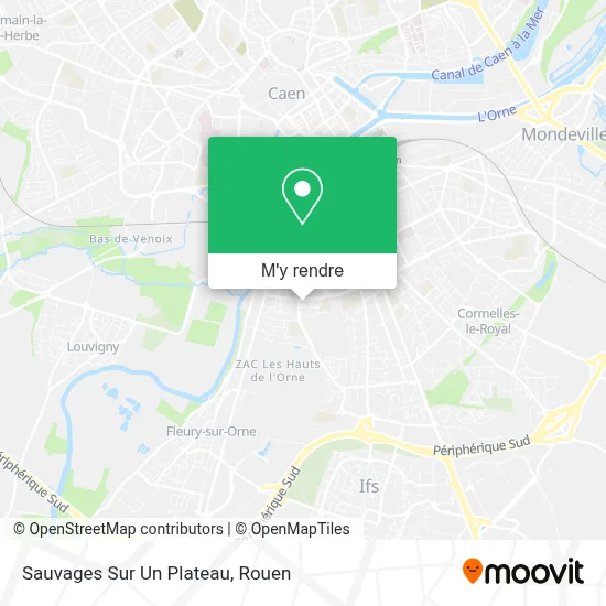 Sauvages Sur Un Plateau plan