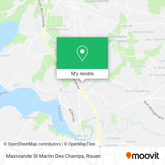 Maxiviande St Martin Des Champs plan