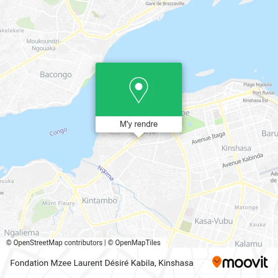 Fondation Mzee Laurent Désiré Kabila plan