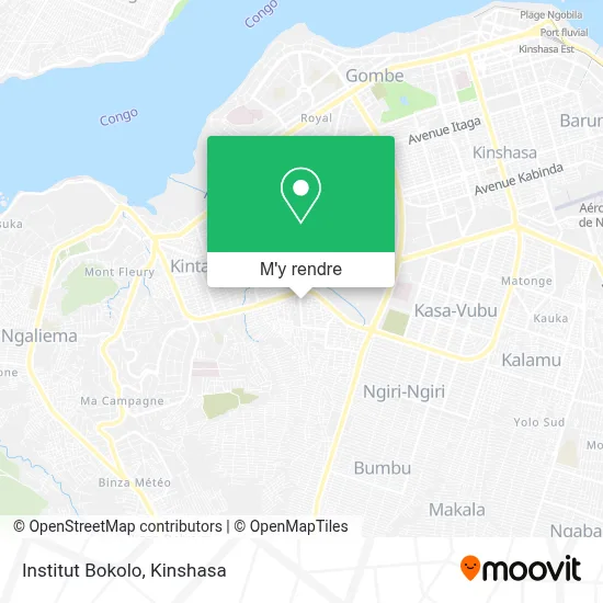 Institut Bokolo plan