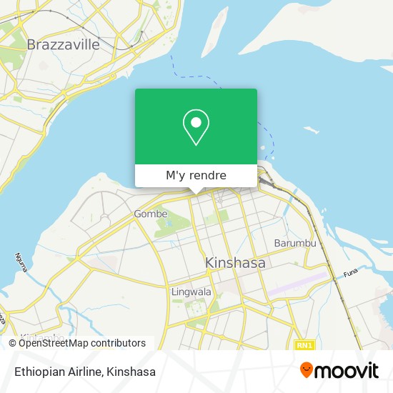 Ethiopian Airline plan