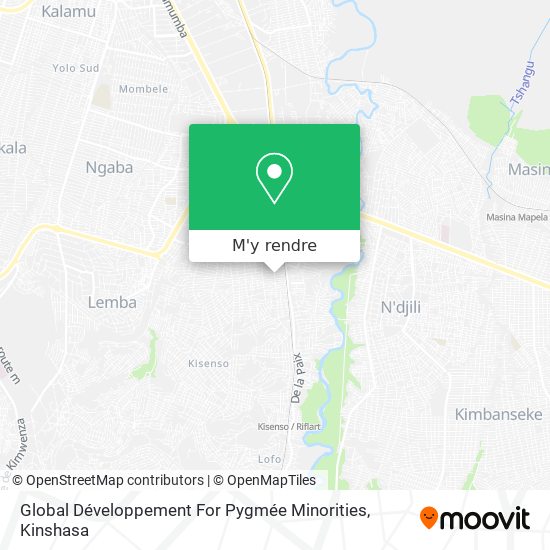 Global Développement For Pygmée Minorities plan