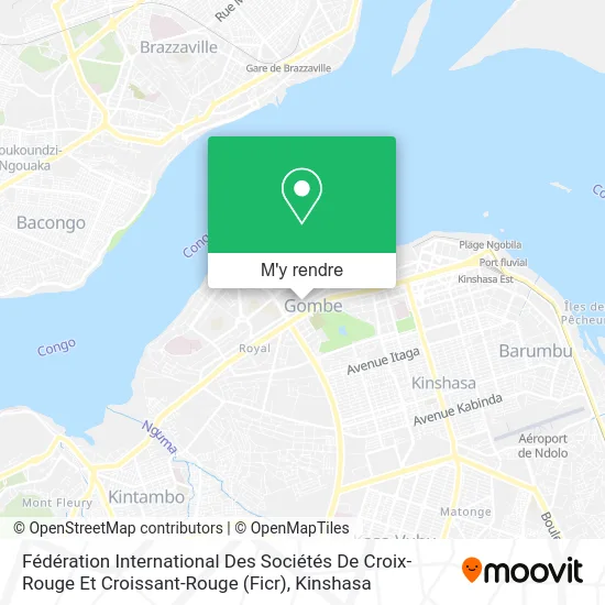 Fédération International Des Sociétés De Croix-Rouge Et Croissant-Rouge (Ficr) plan