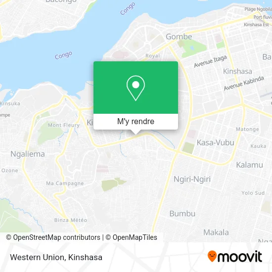 Western Union plan