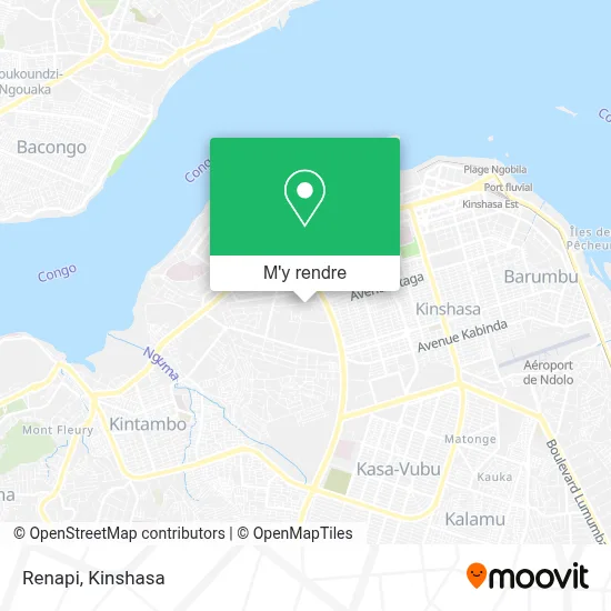 Renapi plan