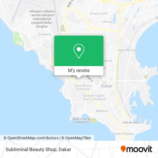 Subliminal Beauty Shop plan
